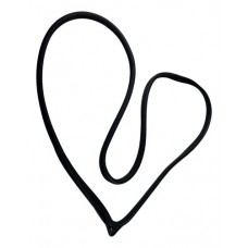 Borracha Porta Dianteira Direita Hyundai Elantra 2016