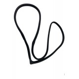 Borracha Porta Traseira Direita Hyundai Elantra 2016 A 2018