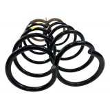 Par De Molas Dianteira Renault Duster Oroch 2016 A 2020